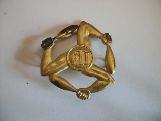 WW2 RAF PTI ARM BADGE